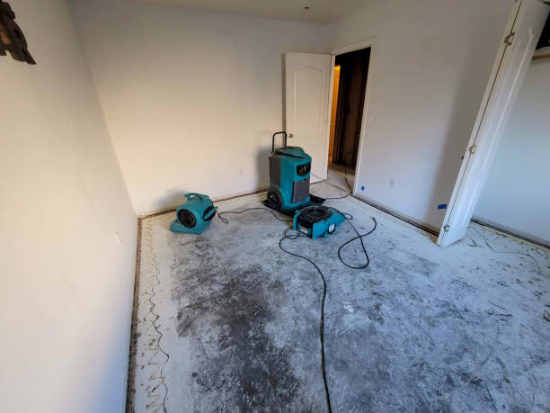 Best Mold removal after water damage  in El Reno, OK