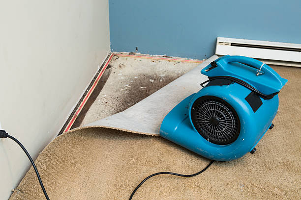Best 24/7 water damage repair  in El Reno, OK
